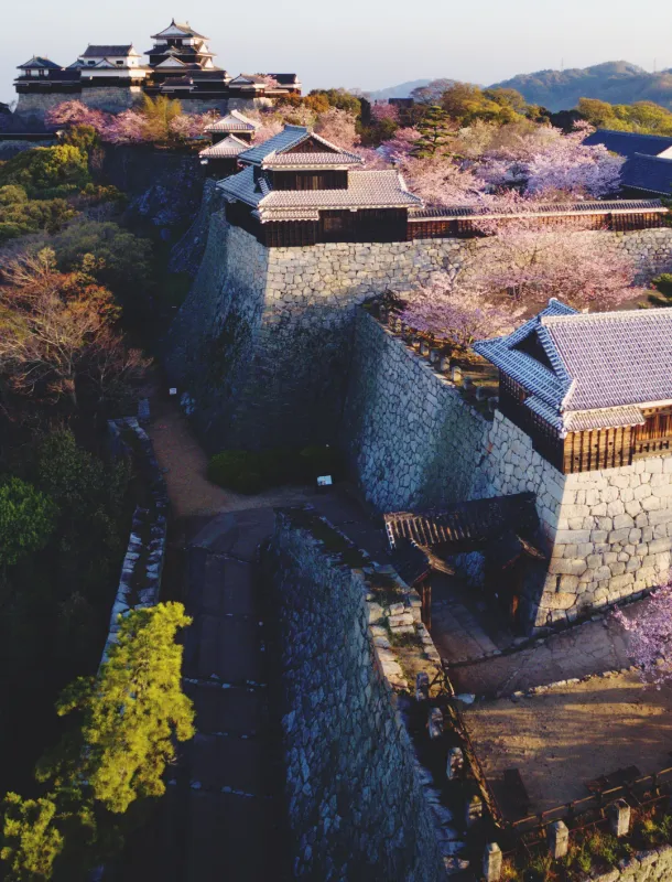 松山城天守與山城景觀