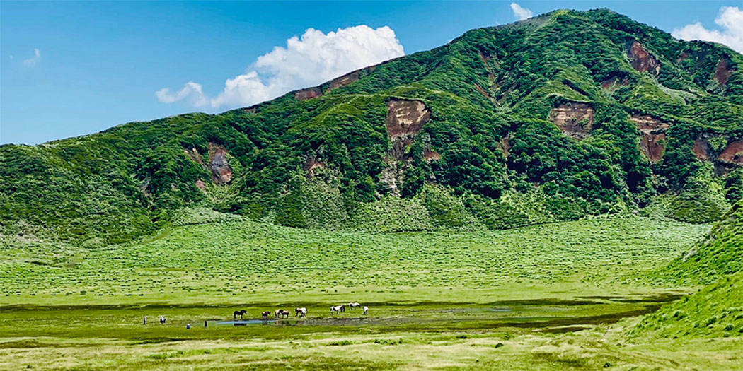 阿蘇草千里草原與火山景觀