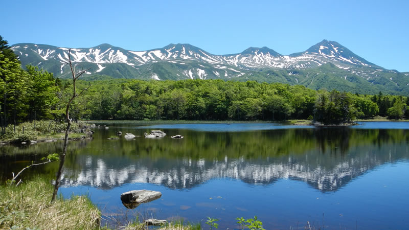 知床五湖地上遊步道