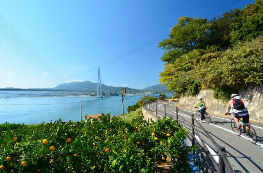 島波海道單車旅途中途景觀