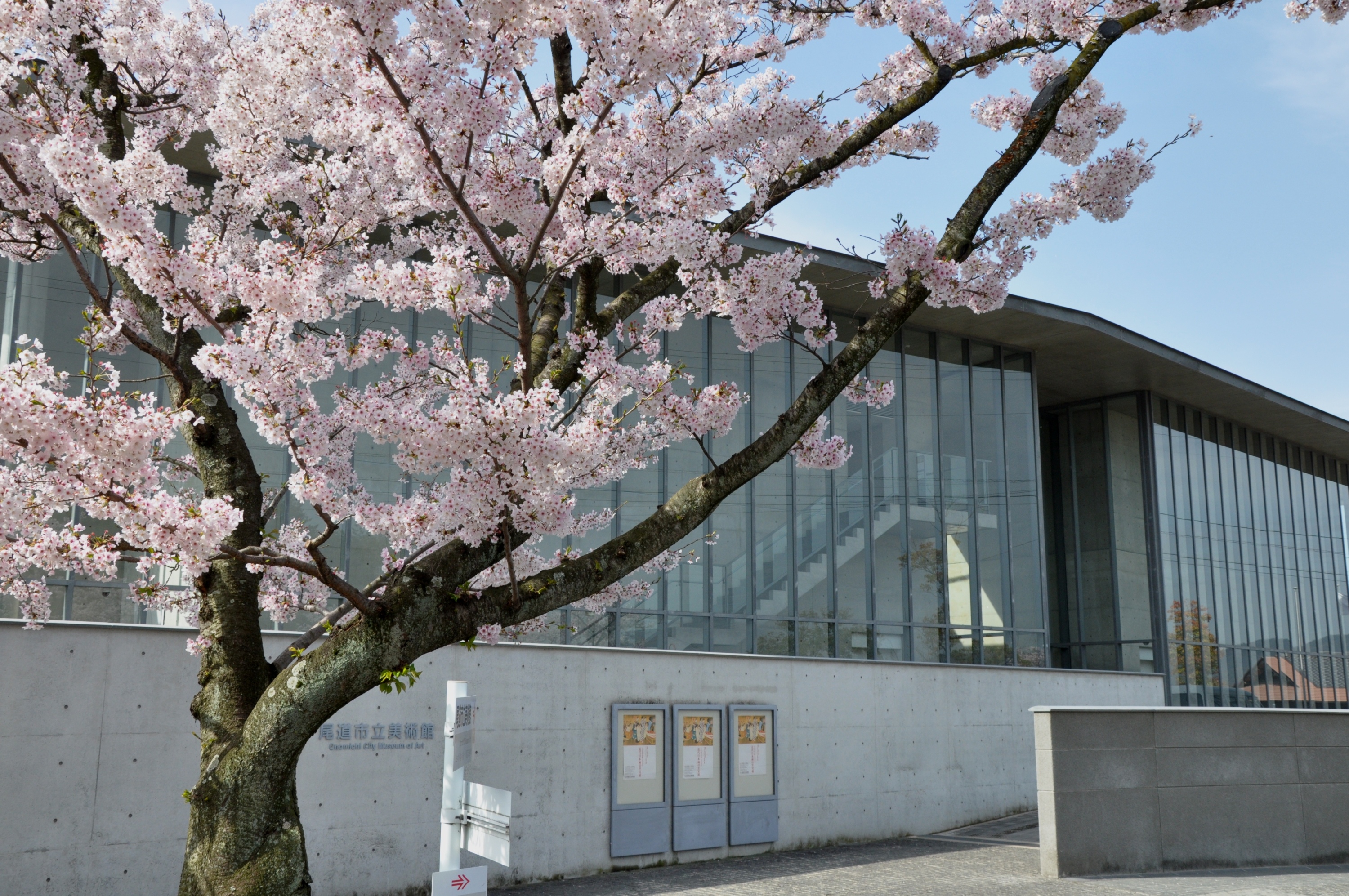 尾道千光寺公園景觀與步道