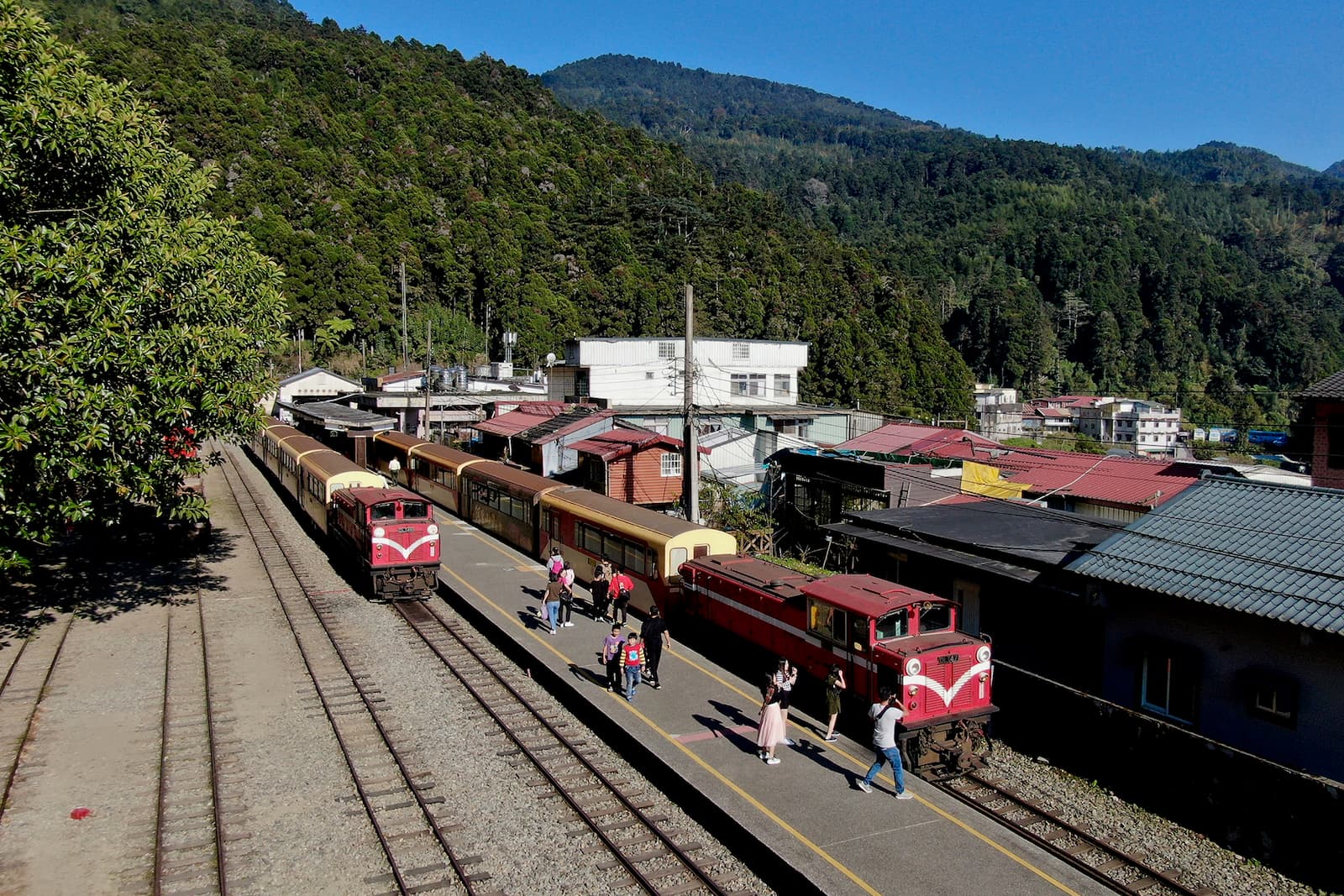 奮起湖周邊阿里山林業鐵路沿線景觀