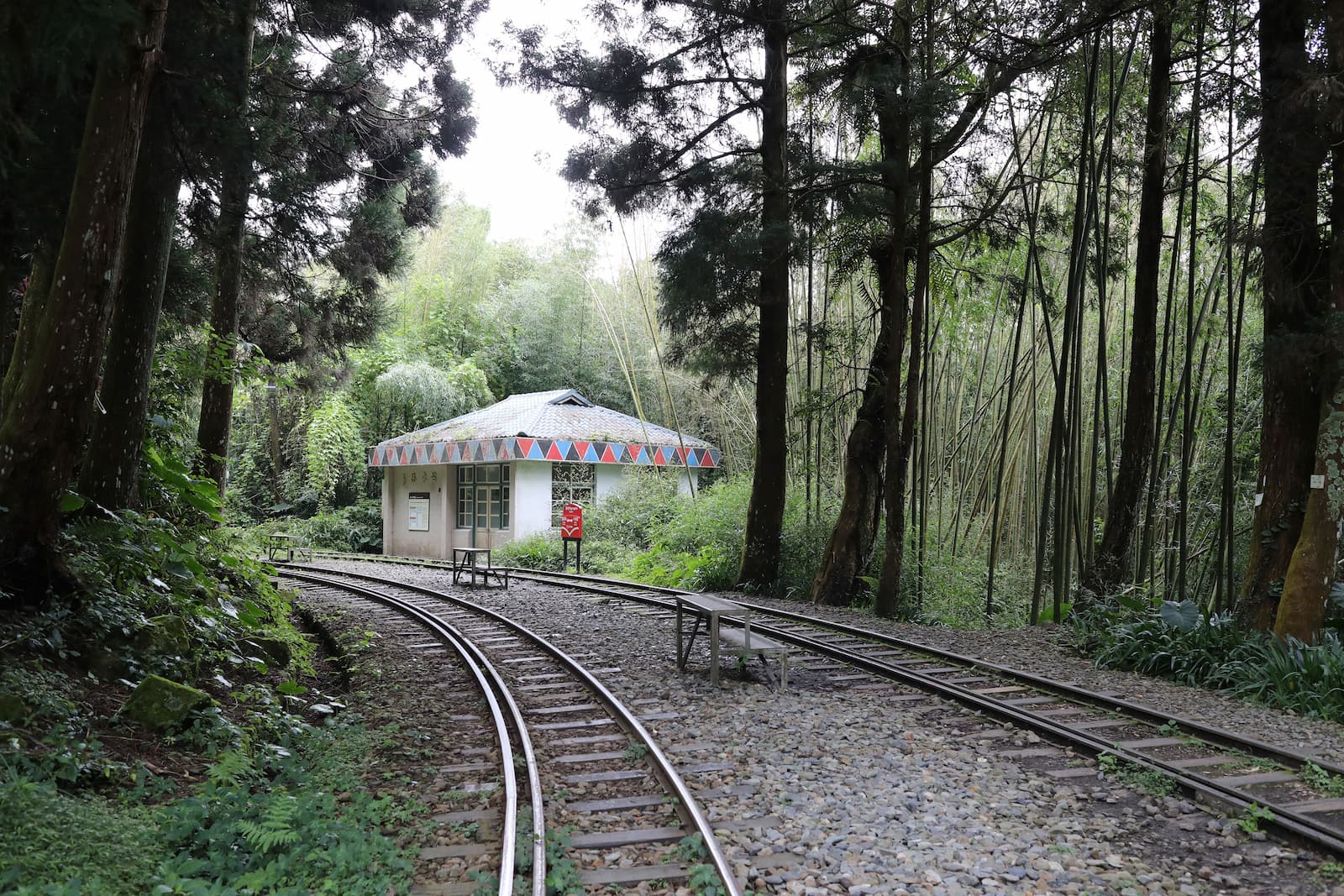阿里山林業鐵路山區站點資料照片
