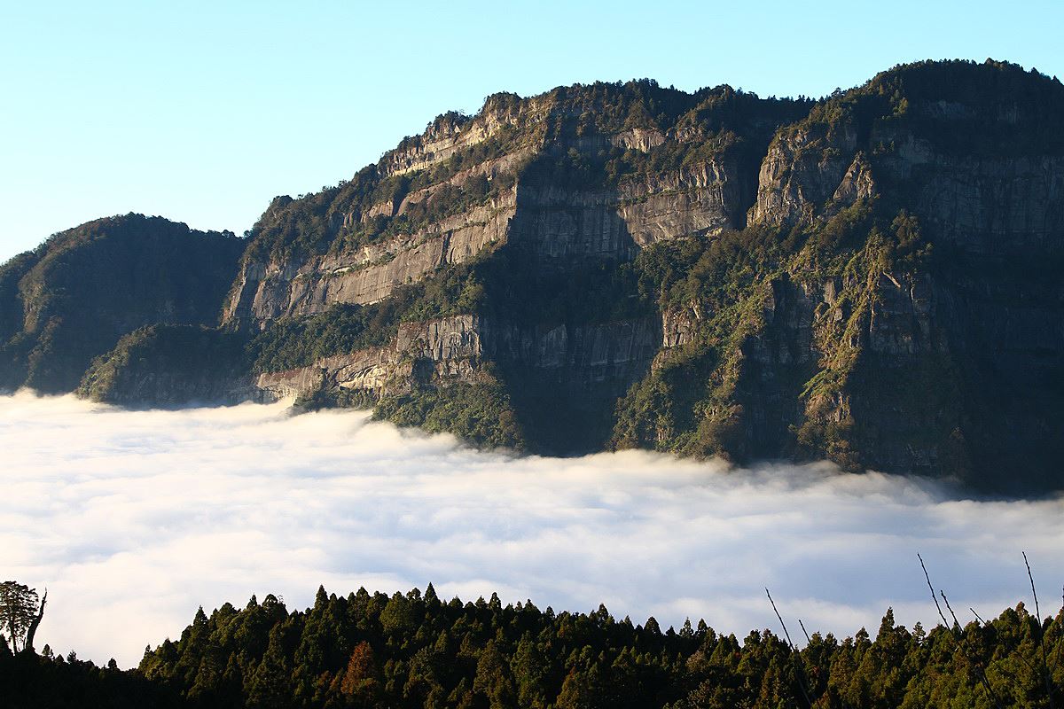 阿里山國家森林遊樂區森林景觀