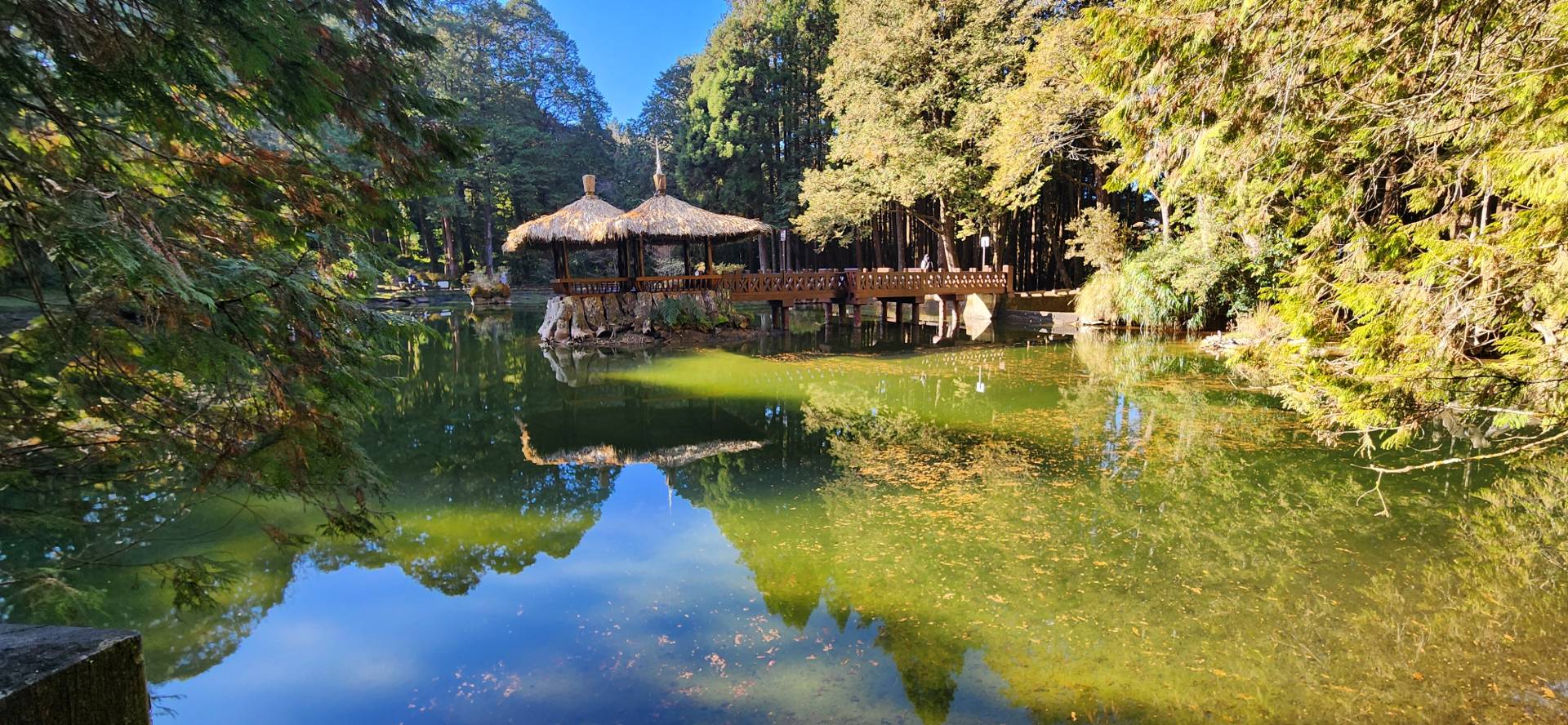 阿里山姐妹潭森林步道