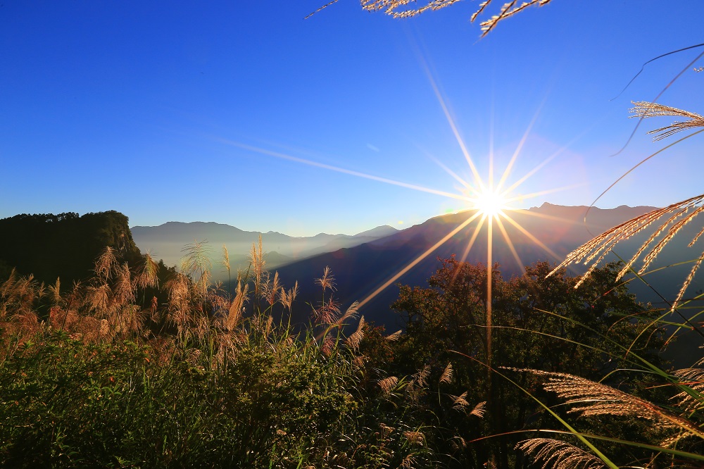阿里山日出景觀