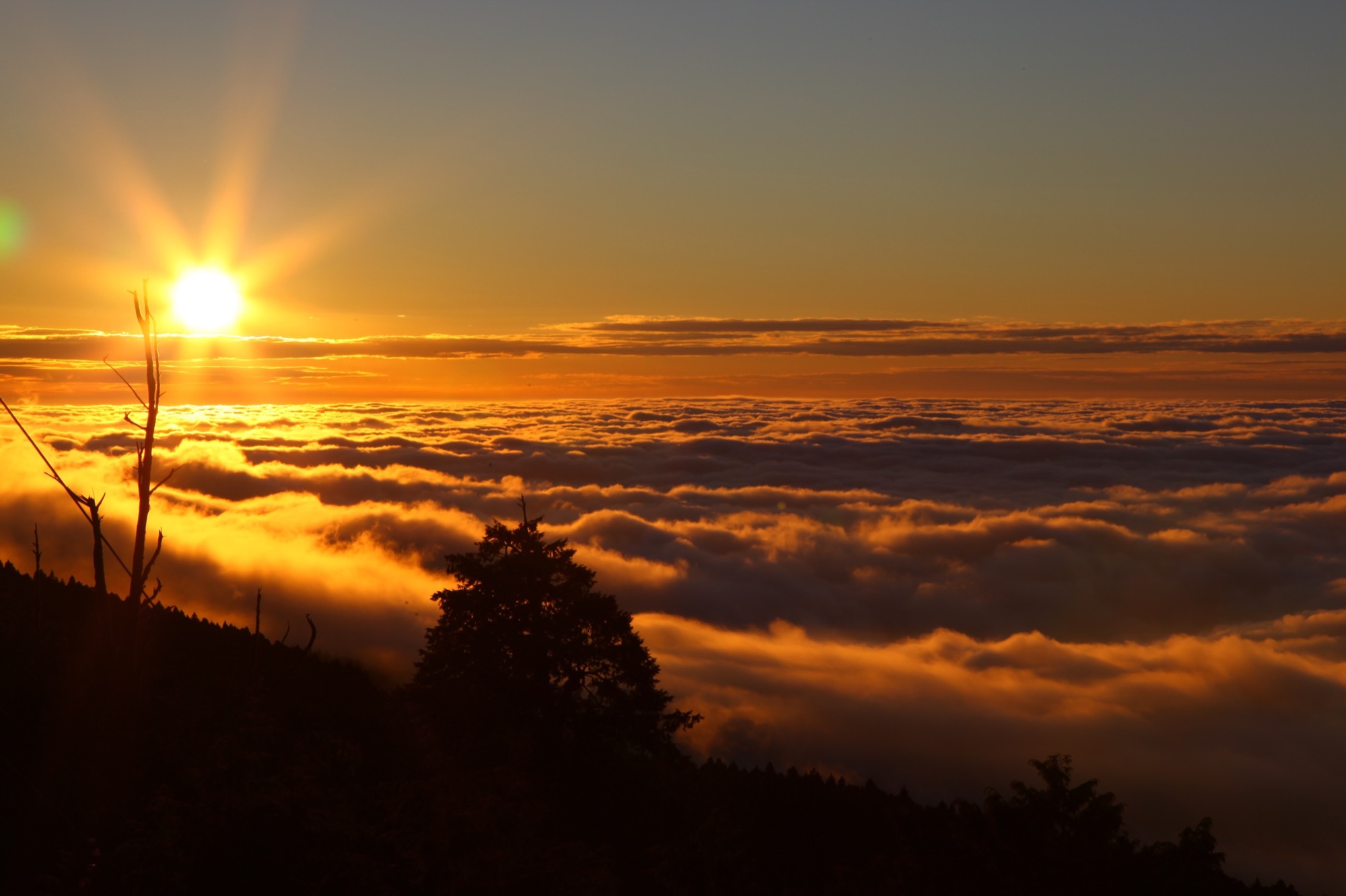 阿里山雲海景觀