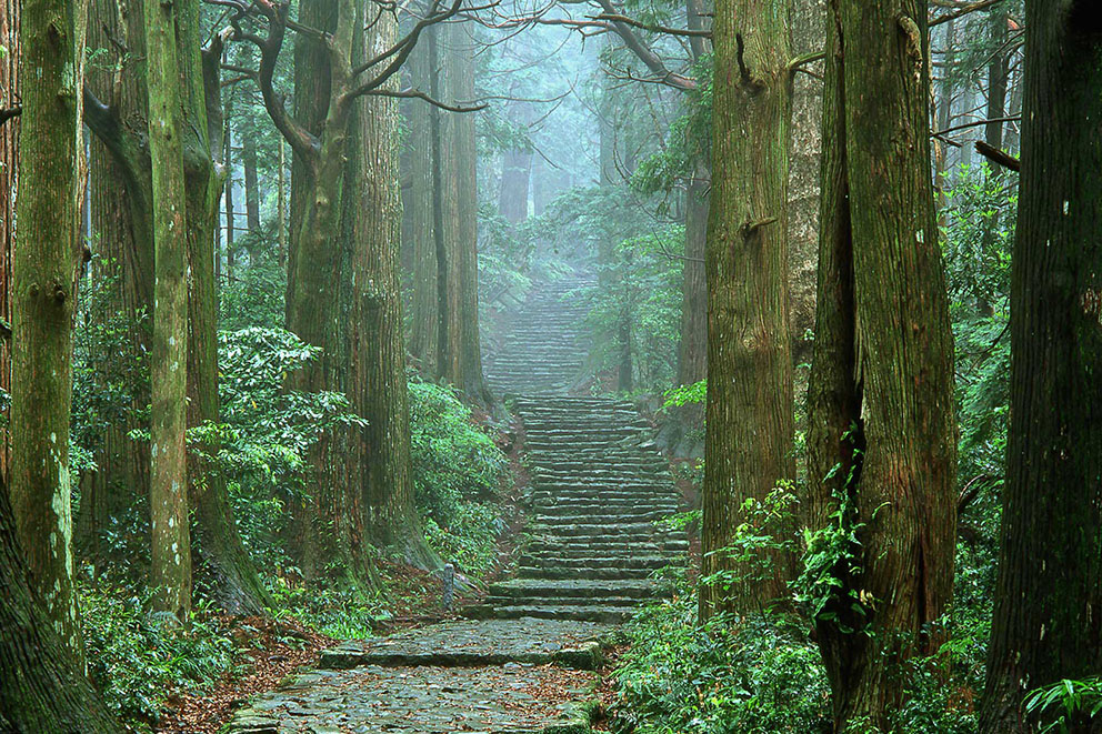 大門坂古道石階